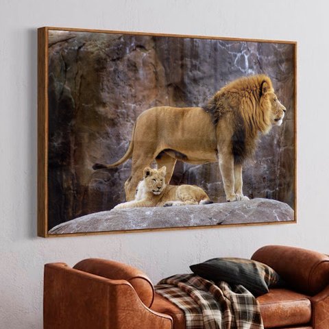 Quadro Decorativo Leão e o Filhote em Moldura Caixa TaColado Moldura Trad 1cm Branca sem Vidro 30 x 