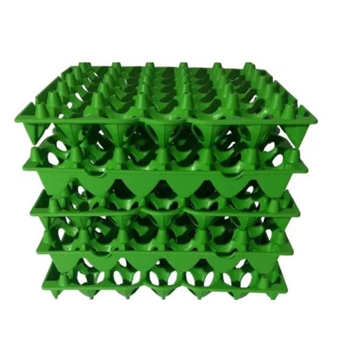 Kit 5 Porta Ovo Cartela Plástica P/30 Ovos Bandeja Higiênica:verde