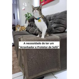Arranhador Gato e Protetor de Sofá Cinza Claro - 6