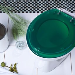 Assento Sanitário Verde Translúcido para Louça Convencional - 1