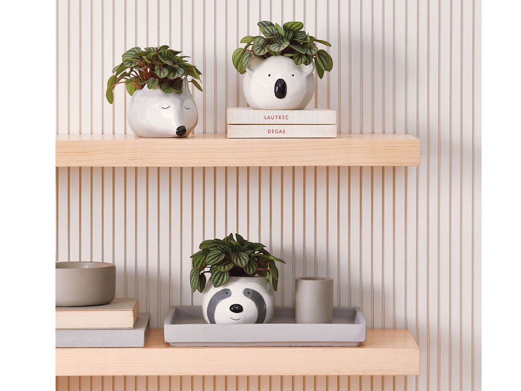 Ver imagem 2 de CACHEPOT COALA EM CERAMICA