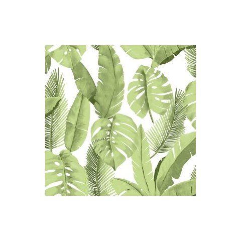 Papel de Parede Atemporal Verde Folhagens 3702 - 0,52 x 10,00m