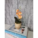 Ver imagem 1 de Arranjo De Mini Orquídea Laranja Vaso Bege Redondo