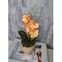 Ver imagem 3 de Arranjo De Mini Orquídea Laranja Vaso Bege Redondo