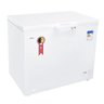 Freezer e Conservador Horizontal Eos 205 Litros Ecogelo Efh300x 127v - 1
