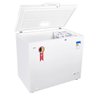 Freezer e Conservador Horizontal Eos 205 Litros Ecogelo Efh300x 127v - 3