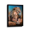 Ver imagem 2 de Quadro Leão Distraído -- BR ARTES