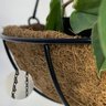 Vaso de Fibra de Coco 30cm de Plantas Suspenso com Corrente - 3