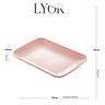 Travessa Bandeja para Servir Retangular 24x15x2,5cm Sortida Petisco Sobremesa Sushi Lyor - 3