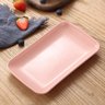 Travessa Bandeja para Servir Retangular 24x15x2,5cm Sortida Petisco Sobremesa Sushi Lyor - 2