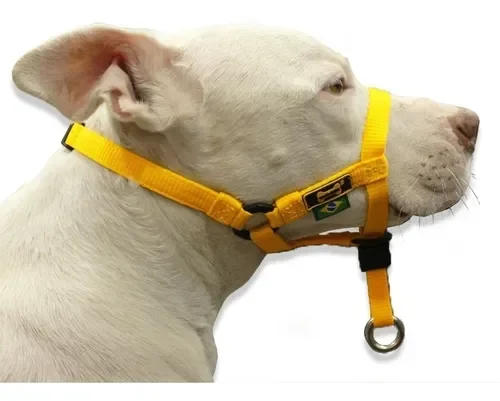 Coleira Cabresto Amorosso Halti: XG