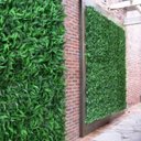 Ver imagem 7 de 22 Placas Artificiais Samambaia Realista para Parede Verde, Fachada e Hall de Entrada Fácil Instalaç