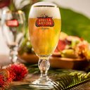 Ver imagem 4 de Taça de Cerveja Stella Artois 250ml