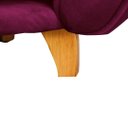 Ver imagem 4 de Caminha Pet Poltrona Baby Lady Tecido Veludo Divini Decor:marsala