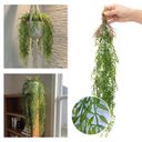 Ver imagem 7 de Kit 8 Pendentes de Capim Artificial Premium 75cm Visual Natural para Vasos e Jardins