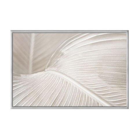 Quadro Decorativo - Folha Tropical Branca Bege Abstrata Flnt088 - Tela Canvas - 60x40cm