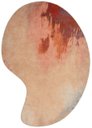 Ver imagem 2 de Tapete Genesis Orgânico