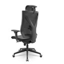 Ver imagem 3 de Cadeira Presidente Darix X Plaxmetal Base Itália Slider Assento Vinil Preto T19