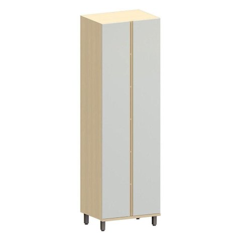 Armário para Cozinha Aurora 2 Portas 4 Prateleiras MDF-MDP 70cm Cinza Cristal
