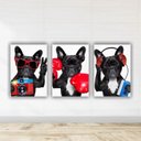 Ver imagem 1 de Kit Quadros Decorativos PET 3 peças