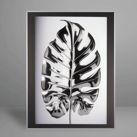 Quadro Decorativo Bw Leaf of Monstera Relevo