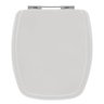 Assento Sanitário Stylus Celite 1.6gpf/6lpf Cinza Prata Mdf Sicmol - 1