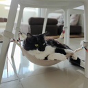 Ver imagem 5 de Redinha de Gatos para Cadeiras, Poltronas e Mesa de Canto Dourado