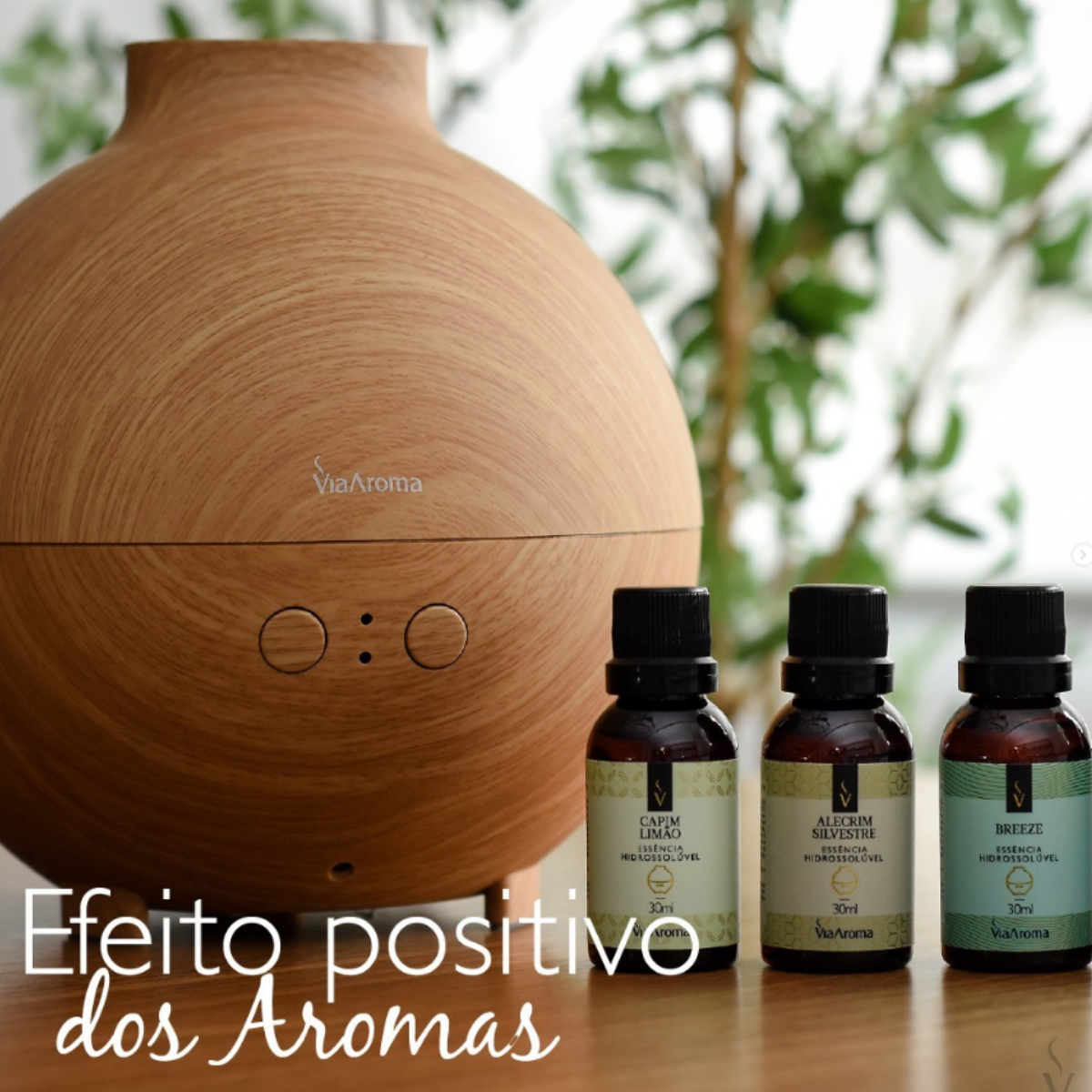 Essência Hidrossolúvel Aromatizante Perfume para Ambientes 30ml - Bamboo - 2