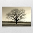 Ver imagem 1 de Quadro Decorativo Arvore Galhos Secos Horizontal Com Moldura e Sem Vidro 80X120