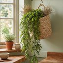 Ver mais imagens de Kit 2 Pendentes de Eucalipto Artificial Realista 87 cm Folhagem Permanente para Decoração