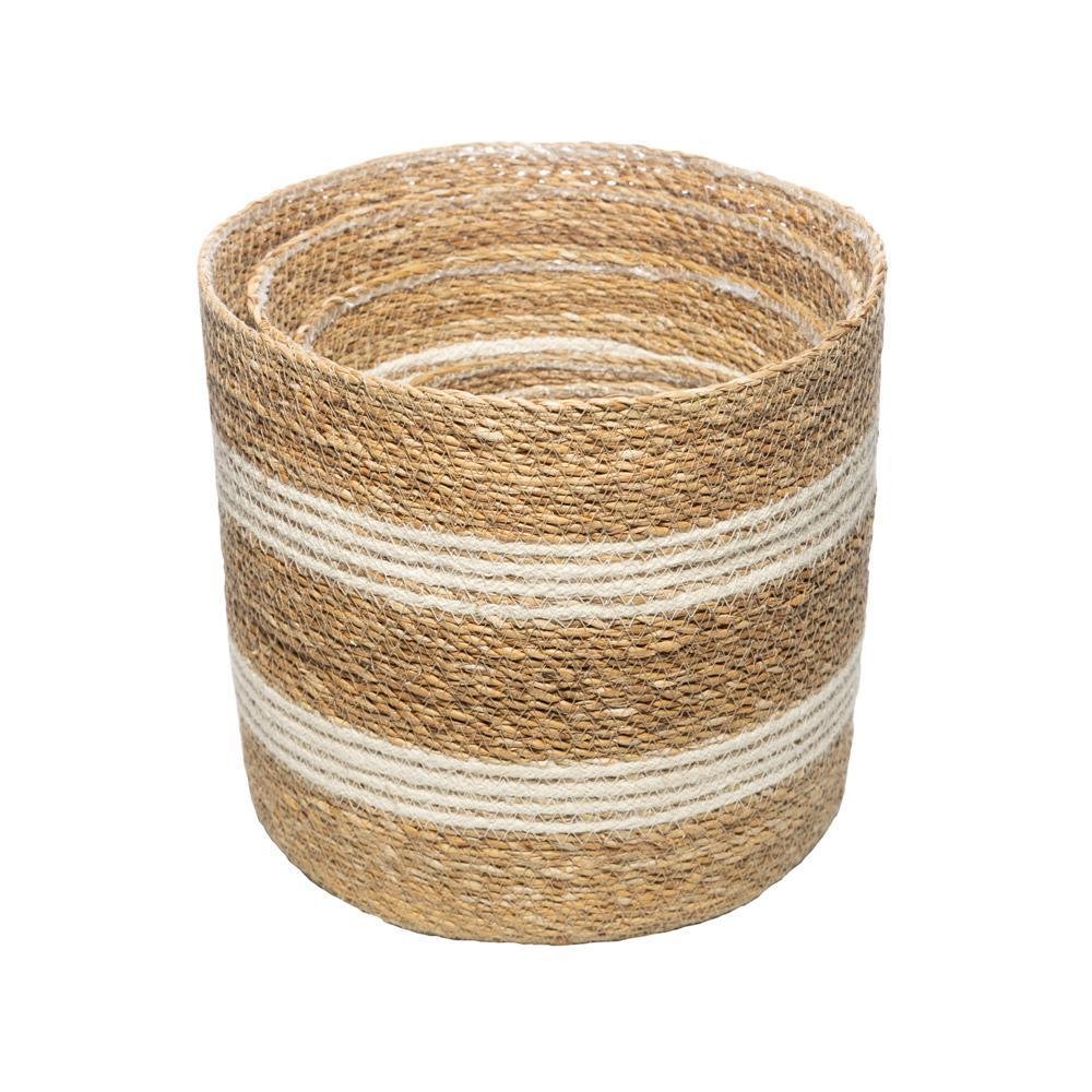 Conjunto 6 Cachepots de Fibra Natural Forro - 3