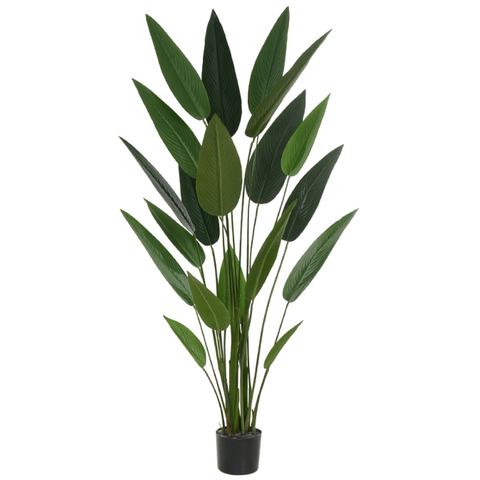 Planta Arvore Artificial Estrelícia Pu C/pote X19 Verde 1,5cm