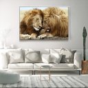 Ver imagem 3 de Quadro Decorativo Leão Carinhoso Moderno Com Moldura e Sem Vidro 100x160