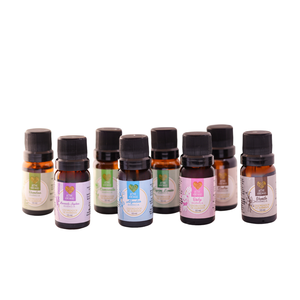 Super Kit 10 Essências Aromatizantes para Difusor Elétrico
