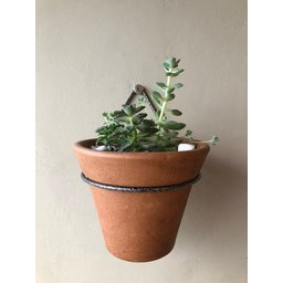 Kit 3 Suportes 16cm Anel Redondo Pendurar Vaso Planta Parede - 7