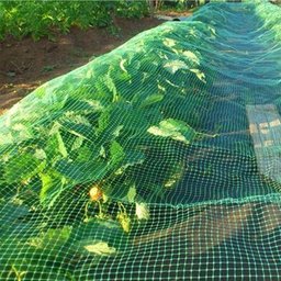 Tela Mosquiteiro Inseto Mosca 2 Metros Pernilongo Mosquito Janela Basculante Porta Proteçao - 4