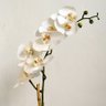 Arranjo Orquídea Artificial Toque Real Branca no Vaso Lorance Branco | Essência Singular Formosinha - 3