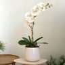Arranjo Orquídea Artificial Toque Real Branca no Vaso Lorance Branco | Essência Singular Formosinha - 2