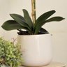 Arranjo Orquídea Artificial Toque Real Branca no Vaso Lorance Branco | Essência Singular Formosinha - 4