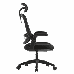 Cadeira de Escritorio Elements Astra - 4