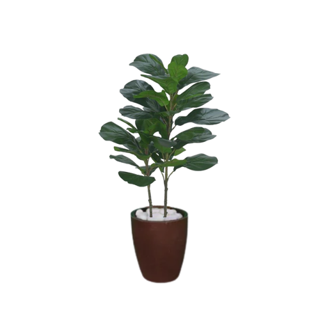 Planta Árvore Artificial Ficus Lyrata Real Toque Verde 1m Kit + Vaso S. Marrom 30 cm