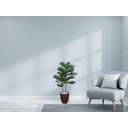Ver imagem 2 de Planta Árvore Artificial Ficus Lyrata Real Toque Verde 1m Kit + Vaso S. Marrom 30 cm