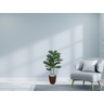 Planta Árvore Artificial Ficus Lyrata Real Toque Verde 1m Kit + Vaso S. Marrom 30 cm - 2