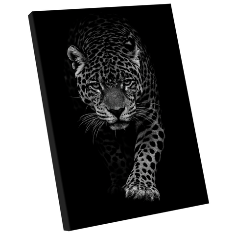 Quadro Decorativo Onça no Preto
