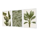 Ver imagem 1 de Kit 3 Quadros Decorativos Folhagens Plantas Verdes