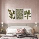 Ver imagem 2 de Kit 3 Quadros Decorativos Folhagens Plantas Verdes
