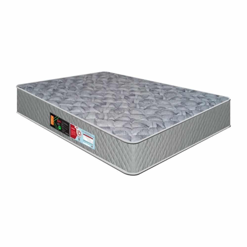 Cama Castor Queen Sleep Max D33 158x198x45 + Box Castor - 4