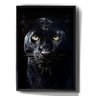 Quadro Decorativo Pantera Negra Animais Fundo Preto - 1