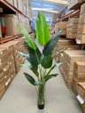Ver imagem 4 de Bananeira Artificial para Decoração Sala Árvore Real Toque com 2.20m.