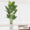 Ver imagem 1 de Bananeira Artificial para Decoração Sala Árvore Real Toque com 2.20m.